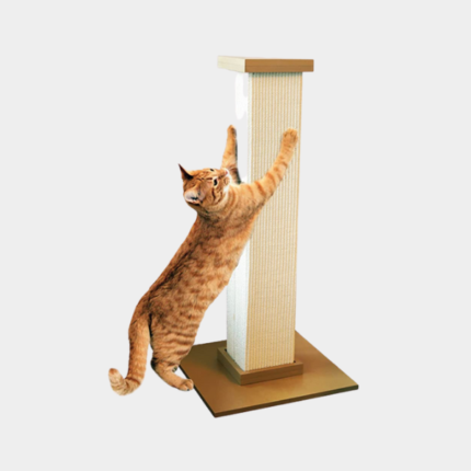 Ultimate Scratching Post